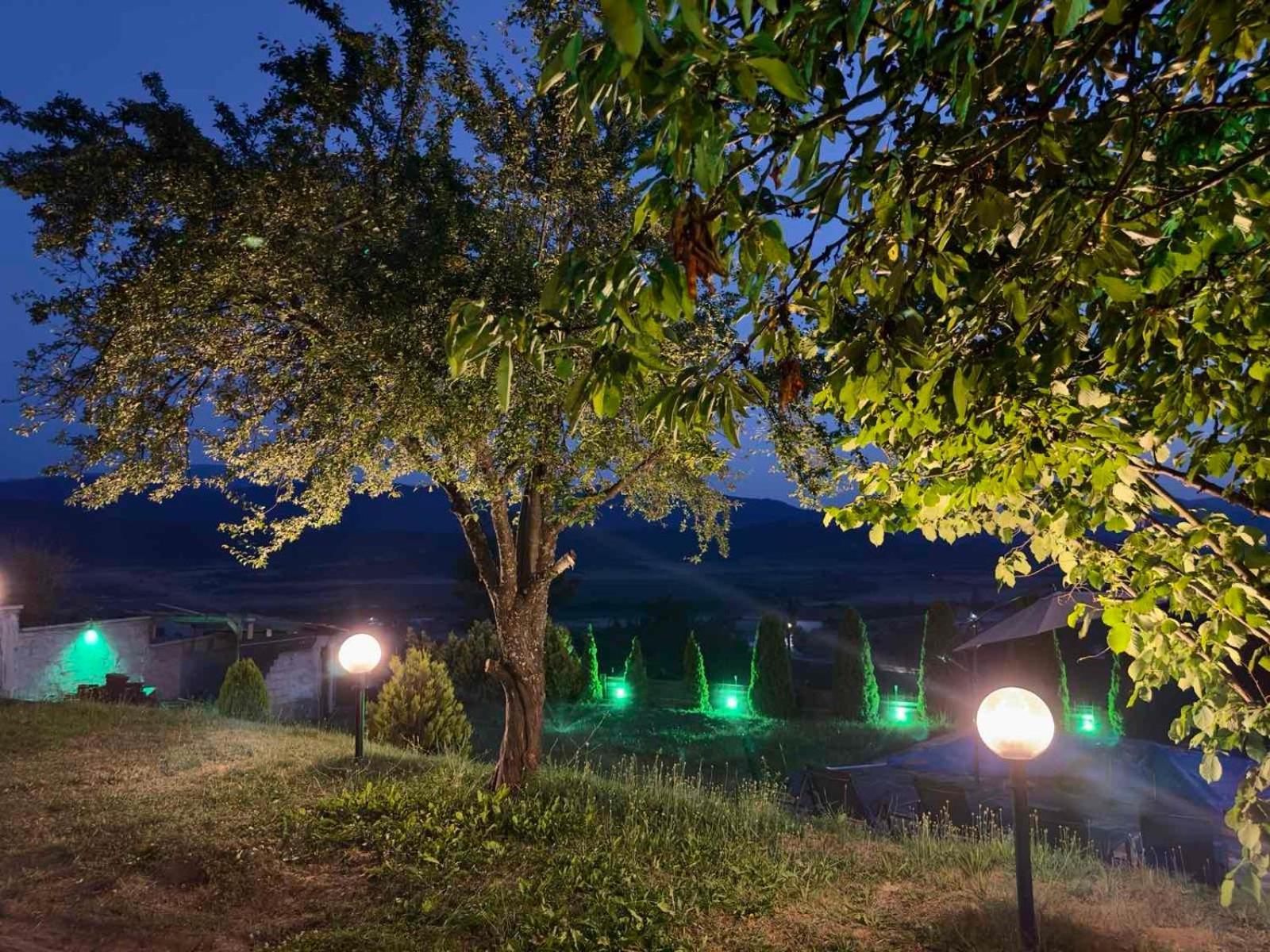 Villa Monte 韦林格勒 外观 照片
